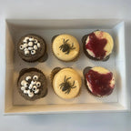 Halloween Cupcakes