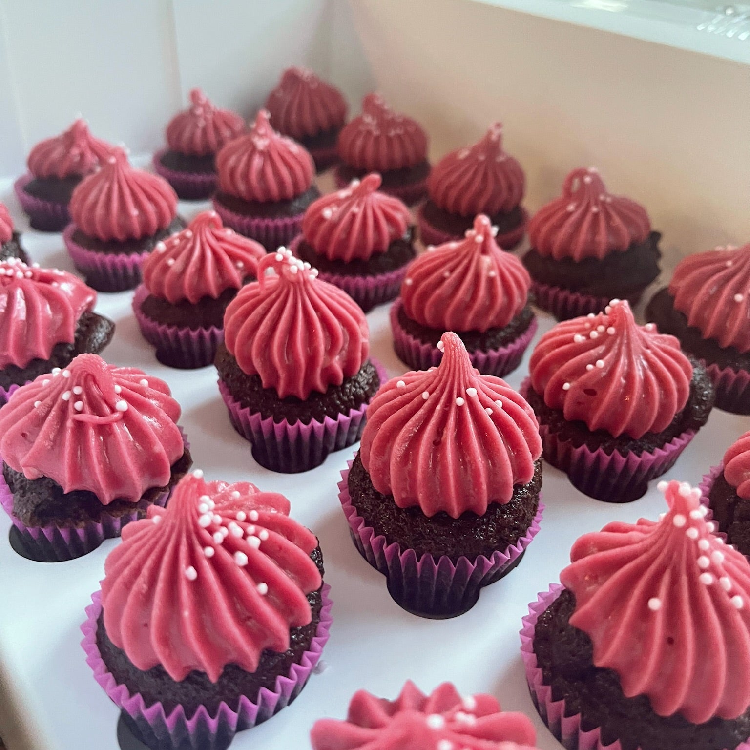 Racoon Mini Cupcakes