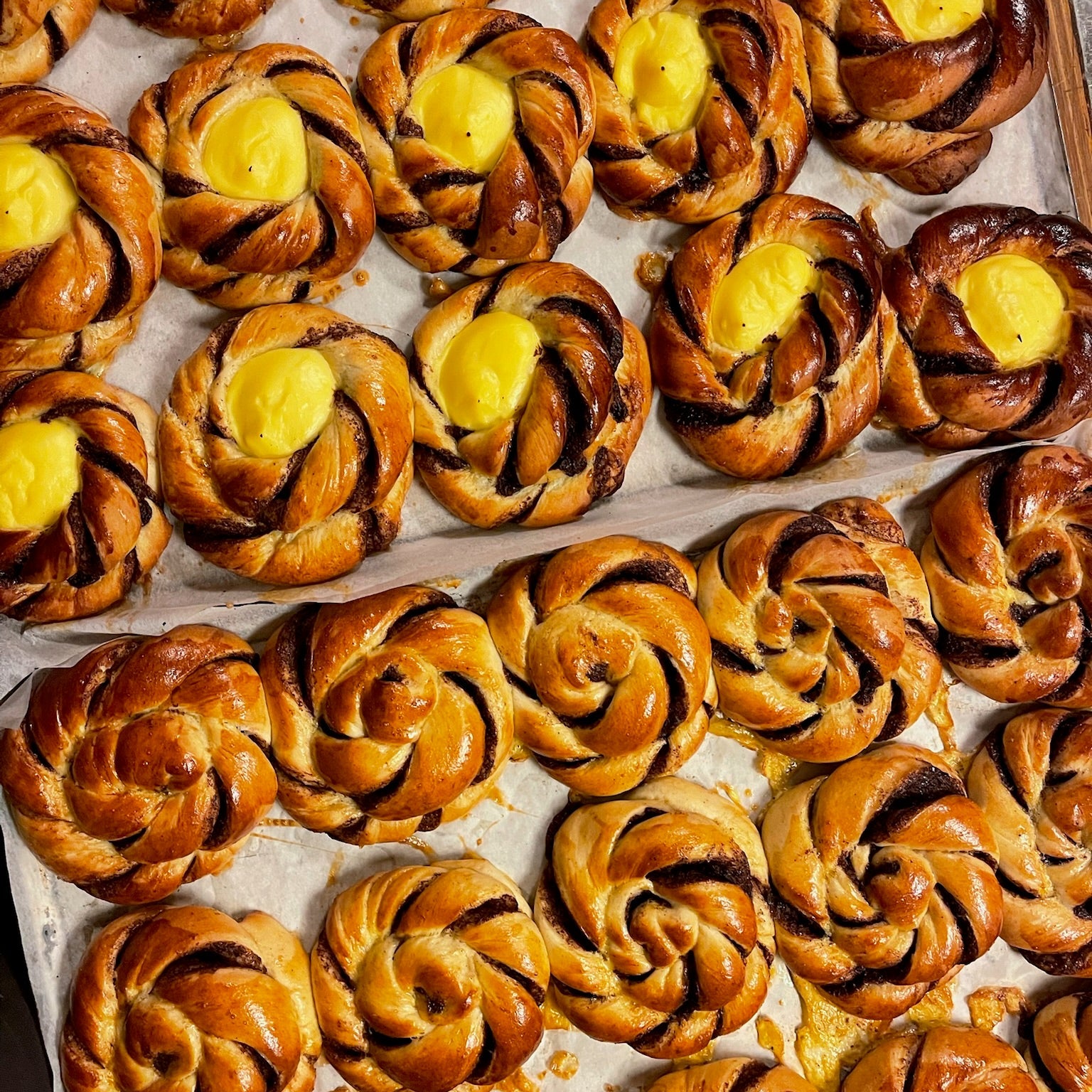 Racoon Cinnamon Bun Ålesund